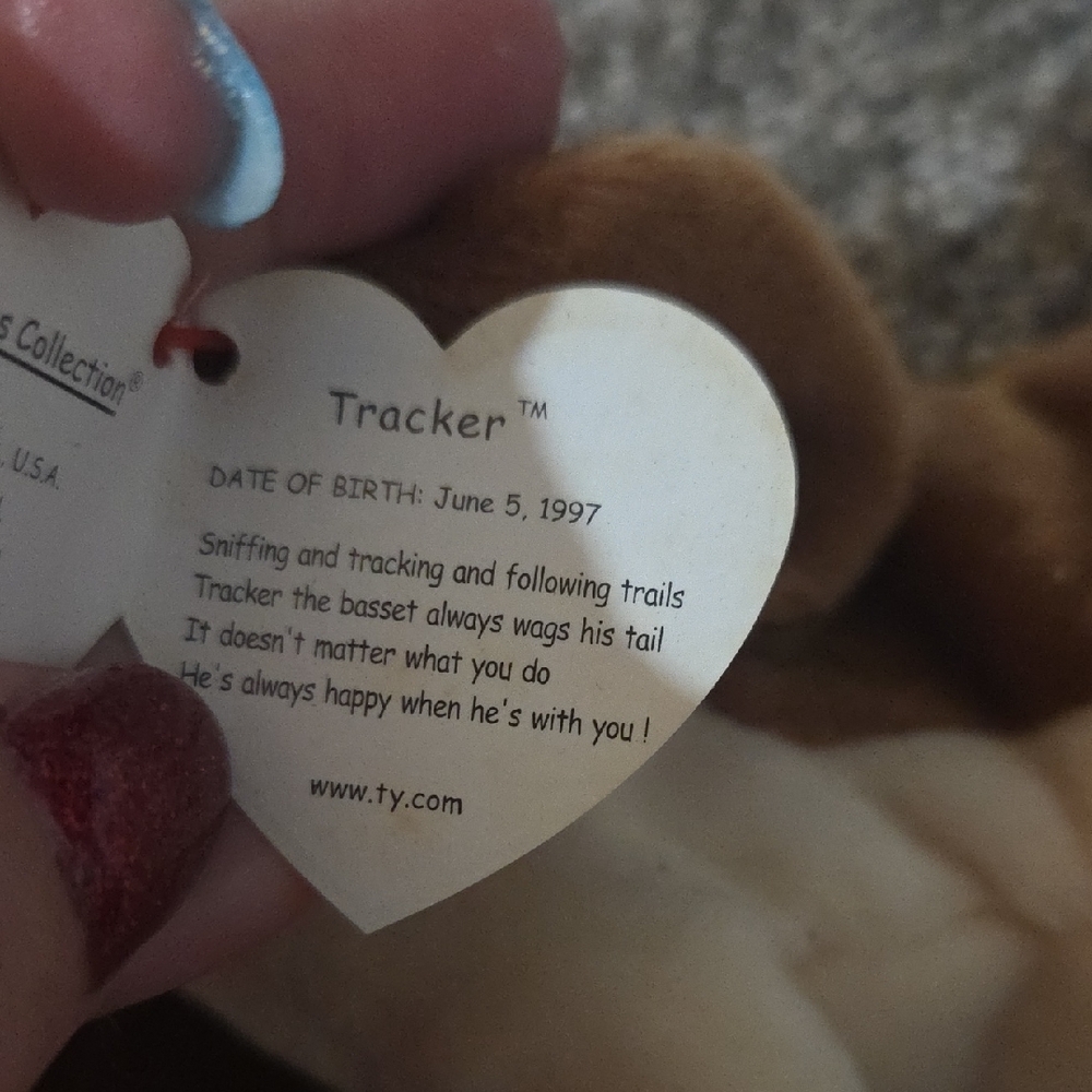 Ty Brown and Cream Tracker Beanie Baby - Picture 2 of 3